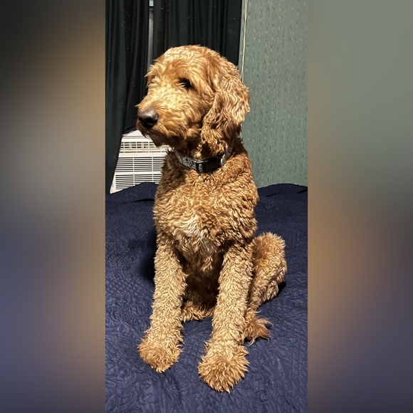 Listing #5 - Picture 1 of 1